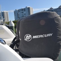 Boston Whaler 270 Vantage