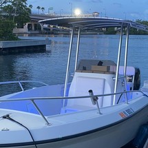 Angler Pro Boats 2900 center console