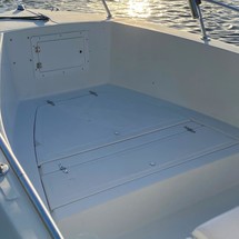 Angler Pro Boats 2900 center console