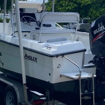 Angler Pro Boats 2900 center console