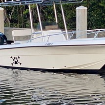 Angler Pro Boats 2900 center console