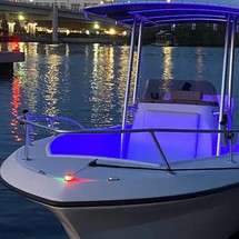 Angler Pro Boats 2900 center console