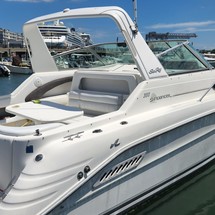 Sea ray sundancer