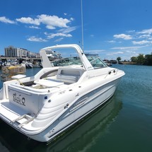 Sea ray sundancer