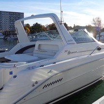 Sea ray sundancer