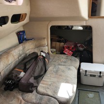 Sea ray sundancer