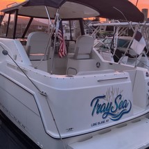 Bayliner 242 Classic