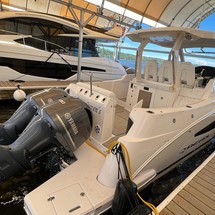 Regal 33 SAV