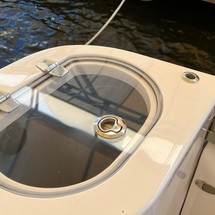 Regal 33 SAV