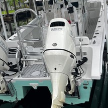 Twin vee 26 family fisherman