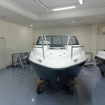 Phoenix 560