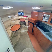 Larson Cabrio 310