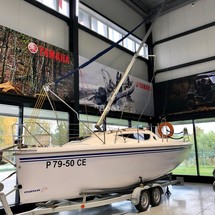 Northman Maxus Evo 24