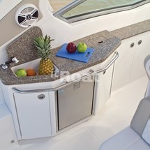 Chaparral 310 Signature