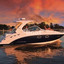 Chaparral 310 Signature