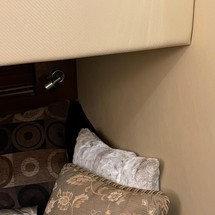 Sea Ray Sundancer 520