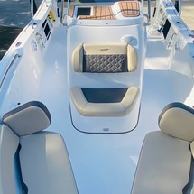 Tidewater 216 adventure