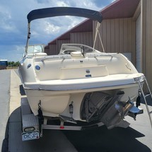 Stingray 250 LR