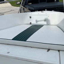 Angler Pro Boats 2900 center console