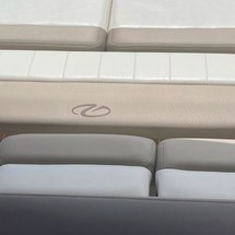 Regal 30 Express