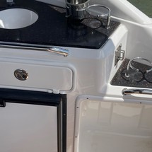 Regal 30 Express