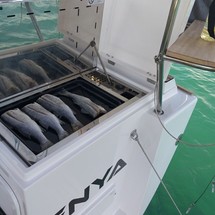 Elan Impression 45.1