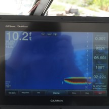 Bayliner 242 Classic