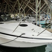 Regal 33 Express