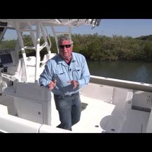 Everglades 355 cc