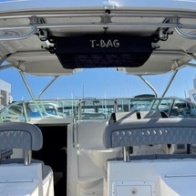 Wellcraft 290 Coastal