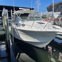 Wellcraft 290 Coastal
