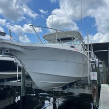 Wellcraft 290 Coastal
