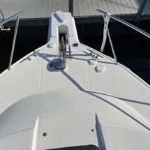 Wellcraft 290 Coastal