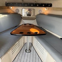 Wellcraft 290 Coastal