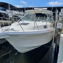 Wellcraft 290 Coastal