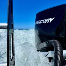 Angler Pro Boats tarpon king 17
