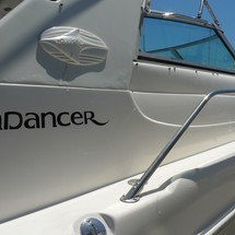 Sea ray sundancer