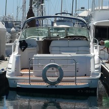 Sea ray sundancer