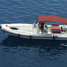 Clubman 24