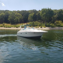 Pro-line 31 express