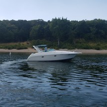 Pro-line 31 express