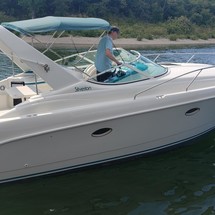 Pro-line 31 express