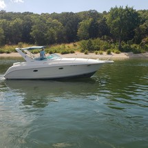 Pro-line 31 express