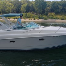 Pro-line 31 express