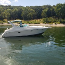 Pro-line 31 express