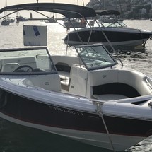 Cobalt 220