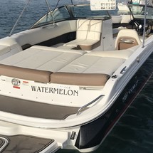 Cobalt 220