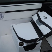 Monterey M-20