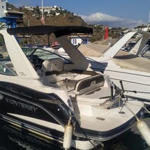 Monterey 295 CR