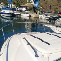 Monterey 295 CR